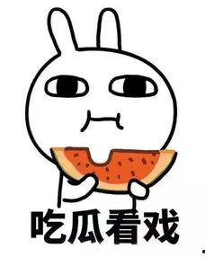 娱乐吃瓜酱微信,揭秘娱乐圈最新热点，带你畅游八卦海洋！